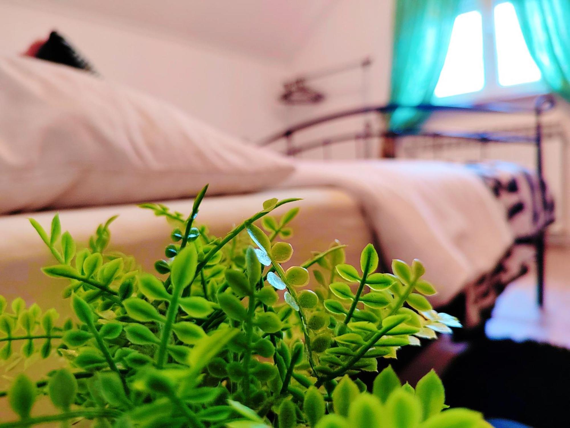 Zagreb, Apartman Jezz מראה חיצוני תמונה